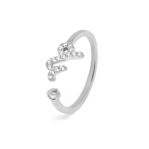 Capricorn Ring with CZ Stones - Silver