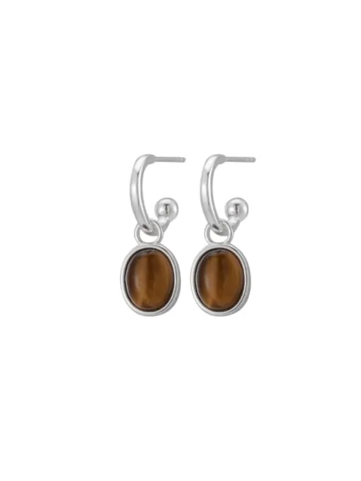 Tiger Ear Earrings Two Piece Natural Stone Dangle Charm Earrings Semi Precious Quartz